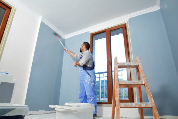 Reliable Lucasville, OH Drywall & Painting Services Solutions